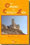 Los orígenes de Castilla y León. 9788481962758