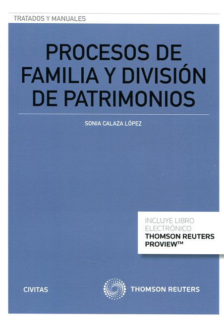 Procesos de familia y división de patrimonios