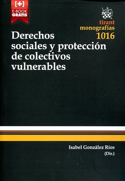 Derechos sociales y protección de colectivos vulnerables. 9788490867259
