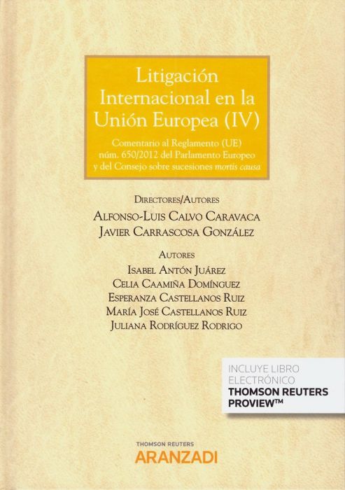 Litigación internacional en la Unión Europea (IV)