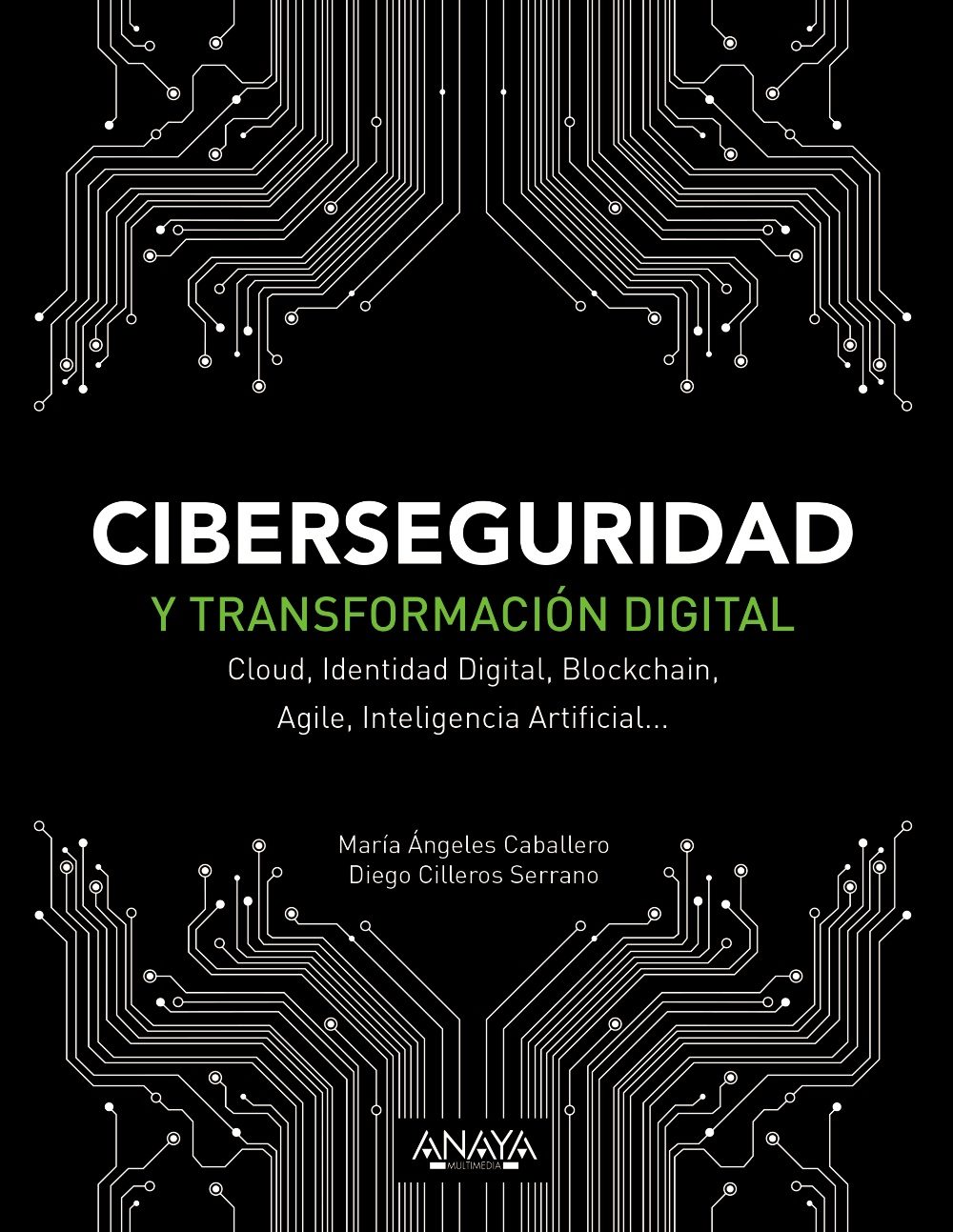 Ciberseguridad y transformación digital. 9788441541627