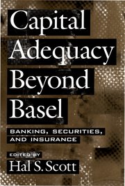 Capital adequacy beyond basel