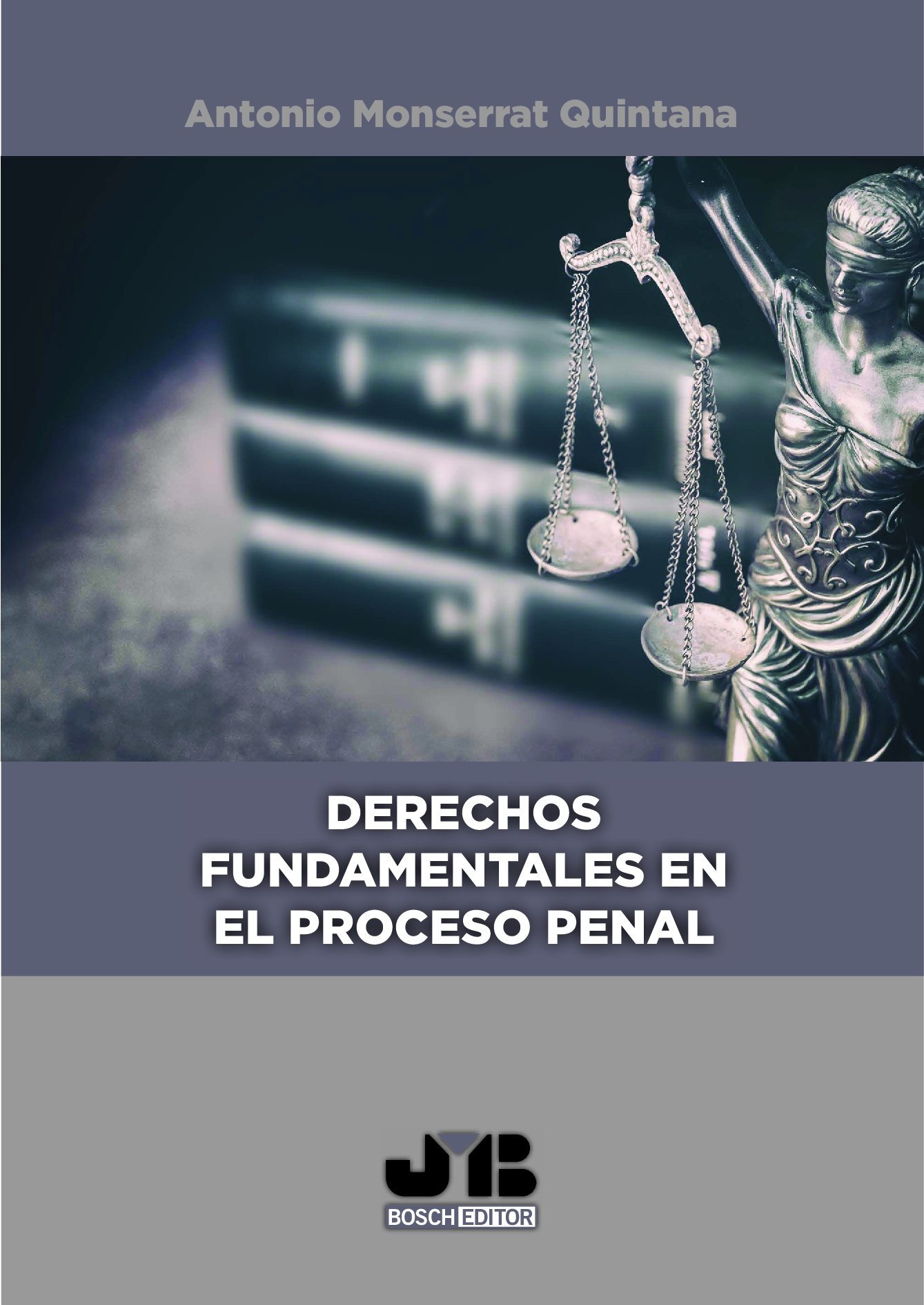 Derechos fundamentales en el proceso penal. 9788419045805