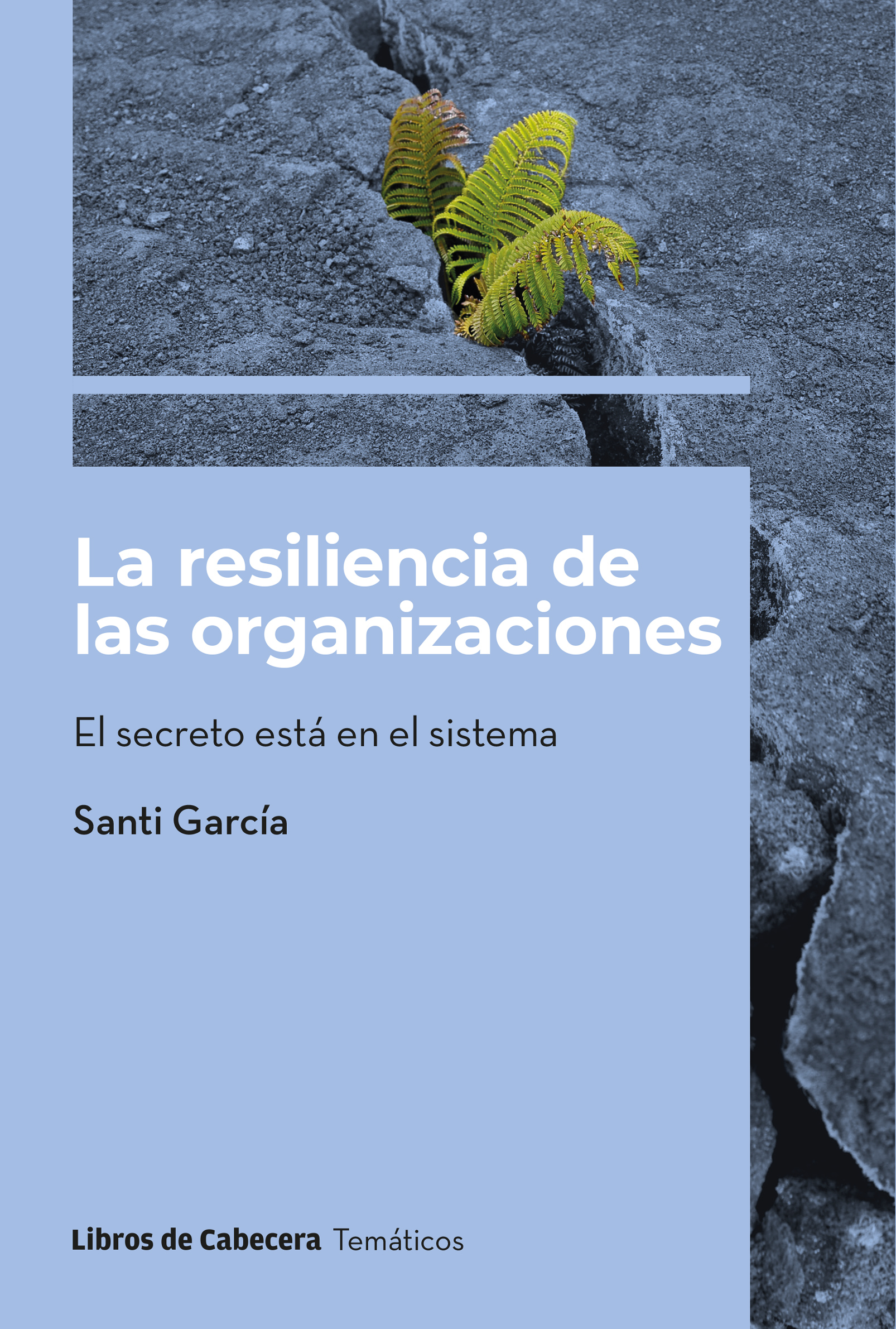 La resiliencia de las organizaciones. 9788412459944