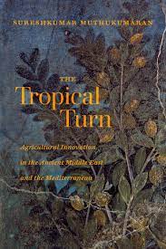  The tropical turn